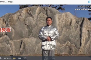 《站桩的秘密与练法》(11视频+1文档)百度云下载!