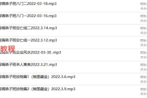 李秀娟空亡线八门企业风水录音八集 百度云下载!