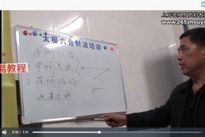 太极六合小六合针法培训视频 百度云下载！