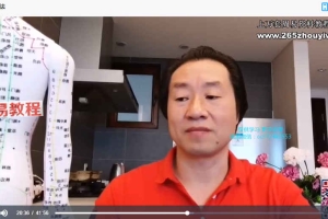 2020胡超伟针灸学落枕面瘫上火头疼膝课程视频13集 百度云