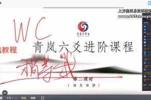 青岚六爻卦理论、卦例、实战课，进阶理法象法共5套视频