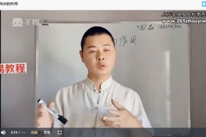 形家长眼法系统高级学习班34集视频 百度云下载！