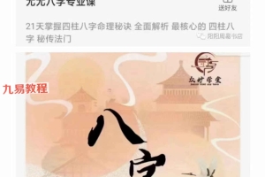 尤尤八字专业课视频20集 百度云下载!