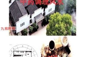 飞鱼-阳宅风水景物断《天医风水、中草药布局 调理风水》pdf