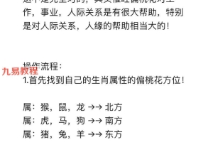 六福催旺偏桃花术法录音课程+讲义pdf 百度云下载！