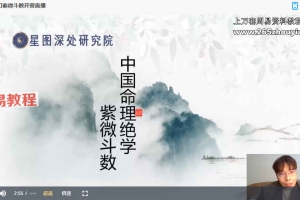 陈小飞《钦天门紫微斗数》初阶29集视频 百度云下载!