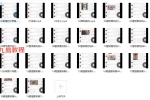 雷诺曼符码课（原版）20集视频 百度云下载！