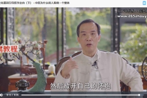 潘毅：闻道中医——推天道以明医事课程视频35集 百度云下载！