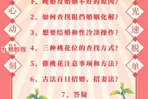 司天喜催桃花课程视频7集 百度云下载!