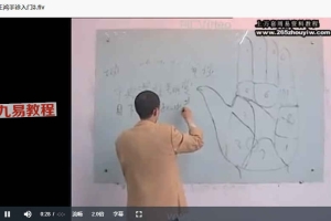 王鸿手诊入门初级班讲座视频6集 百度云下载！