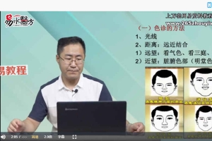 2020王涛面诊基础望诊色诊眼诊望眉六经面诊自学教程 百度云