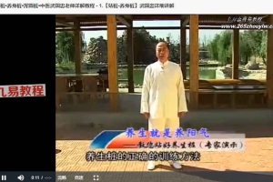 武国忠站桩•养身桩•浑圆桩（3视频）百度云下载！