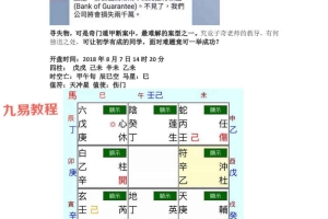 子奇最新奇门案例集pdf 117页 百度云下载!