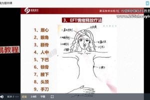 瞳瞳复原视力系列理论+实操+集训营三套课程视频 百度云下载