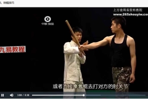 实战防身术课程视频17集 百度云下载!