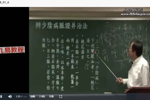 倪海厦：原版《伤寒论》全集8DVD 百度云下载！