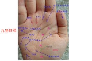 北国雪九宫手诊法图例解析.pdf 77页 百度云下载！