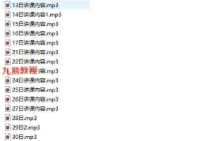 李锦泉-2011年李氏家传奇门遁甲网络班全程录音+资料 百度云