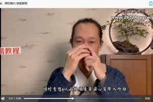 小壶天徐法昇入静冥想初级课程：心息相依…… 视频8集 百度云
