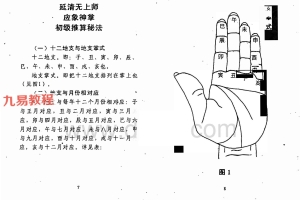 延清无上师一掌断乾坤（杨军）pdf 94页 百度云免费下载！