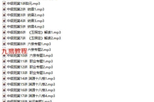 客舟堂子平命理初级录音文档+中级录音文档pdf 百度云下载!