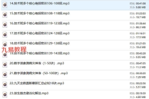 彭书真-九天玄数江湖绝学108绝招录音课程30集 百度云下载！