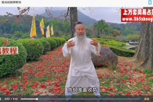 长安师智-道家混元桩详细系统教学10课视频 百度云免费下载!