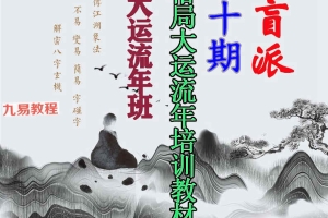 素水盲派《壬寅年格局大运流年班内部资料》209页pdf 百度云