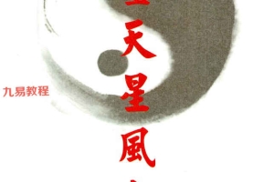 《东灵天星风水、理气卷》pdf 296页 百度云下载!