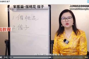 《环境能量学》课程视频27集 百度云下载!