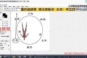 辛圣明 五运六气 南北政脉诊 伤寒论钳法(线上直播实战班)