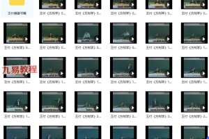 王付方剂学课程视频（全92集·完整版）百度云下载！