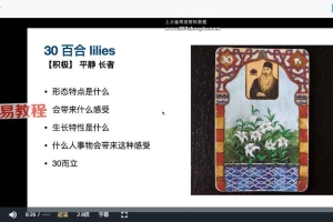 李奶奶实用雷诺曼课程视频47集 百度云下载!