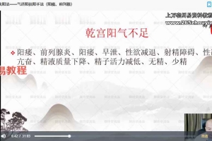 车鸿儒-全真派三步扶阳疗法课程视频10集 百度云下载！