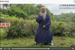 长安师智-太极拳如何气沉丹田16课时视频 百度云下载!