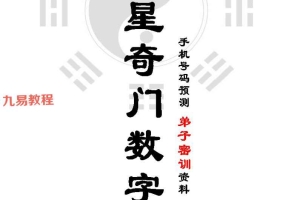 吴九龙《数字奇门、八星奇门数字 弟子升级版》高级实战班pdf