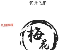 贺云飞 -《易象雕龙》.pdf 366页 百度云下载!