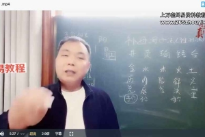 华信紫丹—付氏三绝针精品课视频5集 百度云下载!