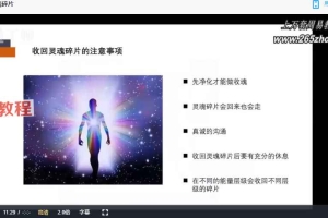 宋黛 生命能量进阶营二期（一、二、三阶）全56讲视频+录音