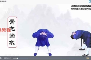 灵素道人 吕祖八式养生功（即道内秘传八段锦）3D视频课程9集