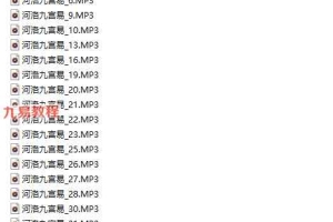 河洛 4套录音+视频 百度云免费下载！