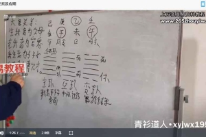 《青衫道人梅花易数》课程视频17集 百度云下载!