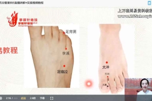 五针灵系列课程视频27集+资料pdf 百度云下载！