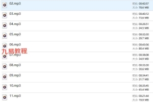 刘一龙老师2015乙未年梅花录音21集 百度云下载！