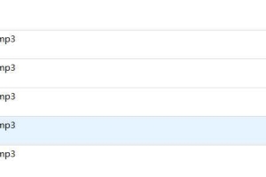 叶飘然叶氏手相录音5集加笔记pdf 百度云下载！