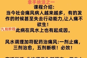 易旺.痛风的风水及化解pdf 百度云下载!