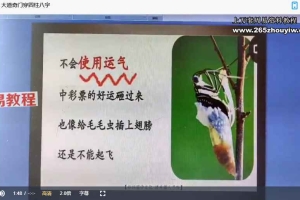 坦成《奇门遁甲预测运筹学》23集视频 百度云下载!