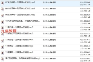 孙国海中高级梅花六爻培训等课程录音 百度云下载!