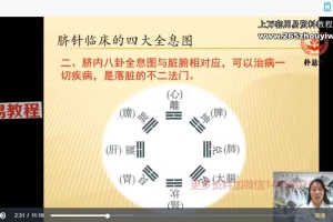 魏宦瑾易医脐诊课程视频15集 百度云下载！