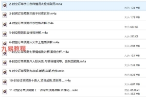 雷氏时空订单预测术培训录音12集 百度云下载！
